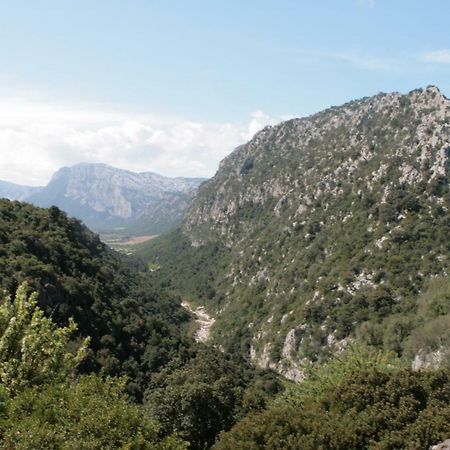 Cala Gonone - Nettuno Apartman Kültér fotó